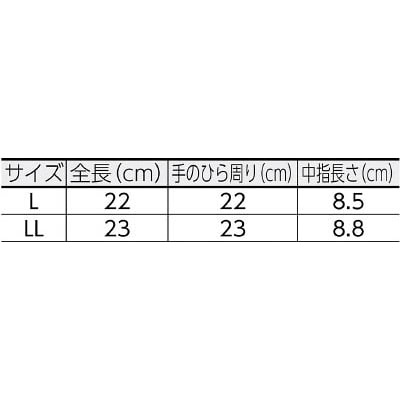 ■富士グローブ　Ｆ－８０４白ＬＬ　5827 5827