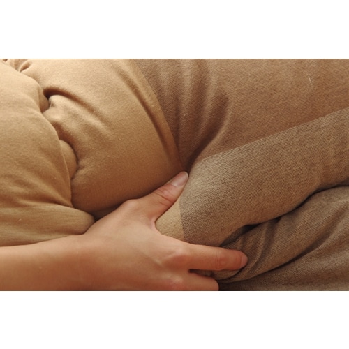 イケヒコ・コーポレーション(IKEHIKO) 　インド綿　こたつ布団　正方形　単品　『ポート』　ベージュ　約２０５×２０５ｃｍ ベージュ