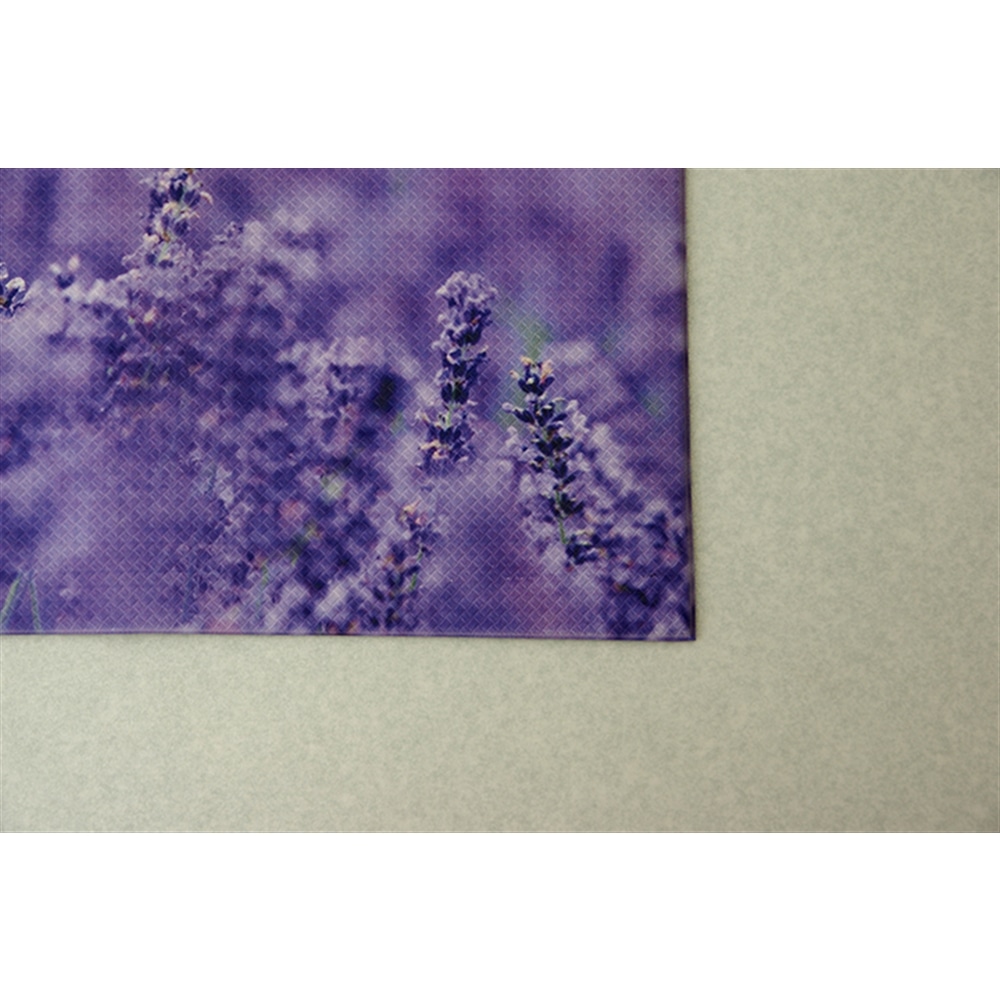 イケヒコ コーポレーション Ikehiko トイレマット Pvc使用 ラベンダー 約55 60cm 裏 すべりにくい Pvcトイレマット パープル インテリア ホームセンターコーナンの通販サイト
