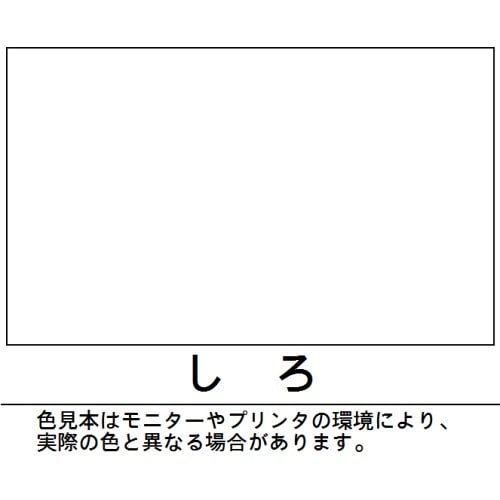 ２液ウレタンスプレー　３０１ｍｌ　白　６０１２ しろ 301ml
