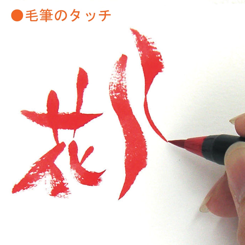 彩５色セット冬　ＣＡ２００／５ＶＤ