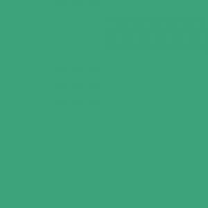 アサヒペン(Asahipen) 水性屋上防水遮熱塗料　ライトグリーン　１０Ｌ １０Ｌ　ライトグリーン