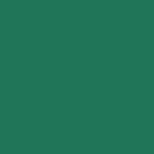 アサヒペン(Asahipen) 水性屋上防水遮熱塗料　ダークグリーン　１０Ｌ １０Ｌ　ダークグリーン