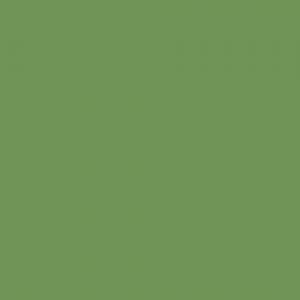 アサヒペン(Asahipen) 水性多用途スプレー　モスグリーン　３００ｍｌ モスグリーン