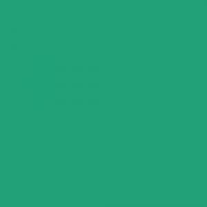 アサヒペン(Asahipen) 水性多用途スプレー　カジュアルグリーン　３００ｍｌ カジュアルグリーン