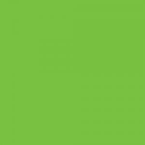アサヒペン(Asahipen) 水性多用途スプレー　フレッシュグリーン　４２０ｍｌ フレッシュグリーン