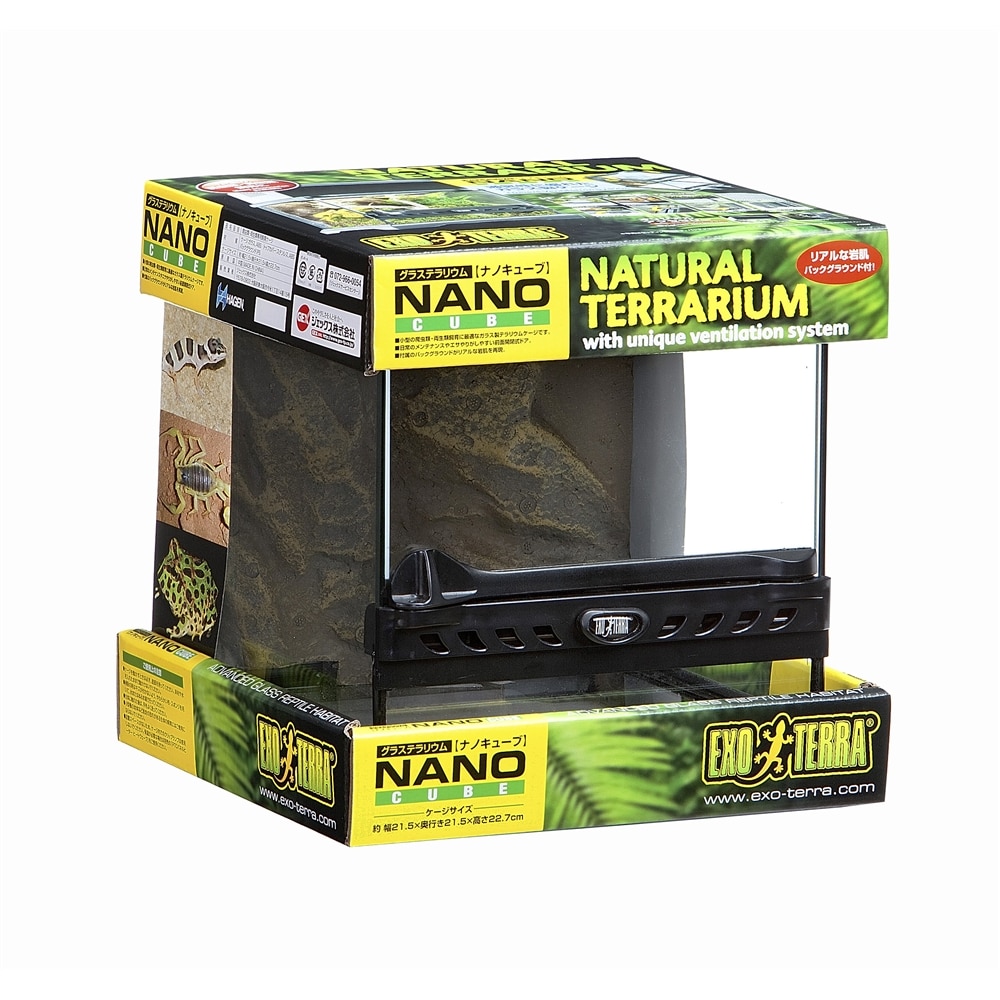 コンプリート キューバパールグラス 種 コーナン 2138 キューバパールグラス 種 コーナン Walljpluong