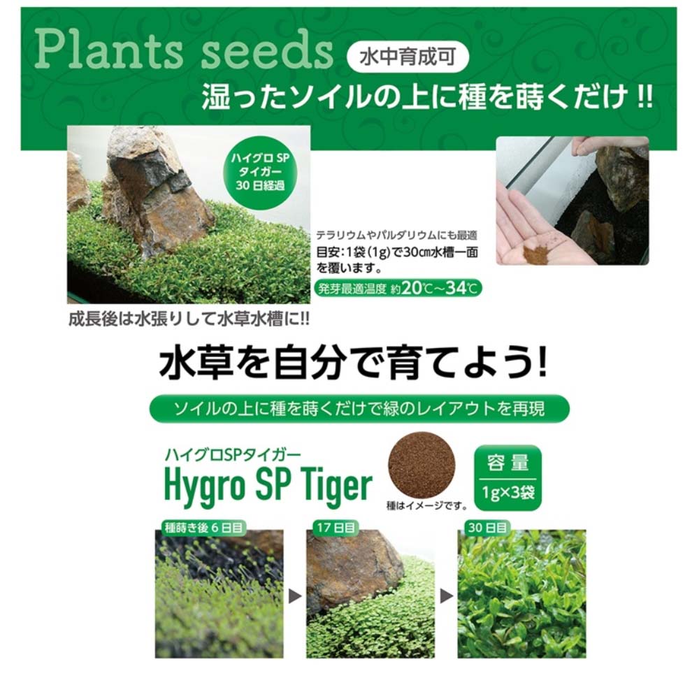 寿工芸 水草の種　プランツシードハイグロＳＰタイガー タイガー