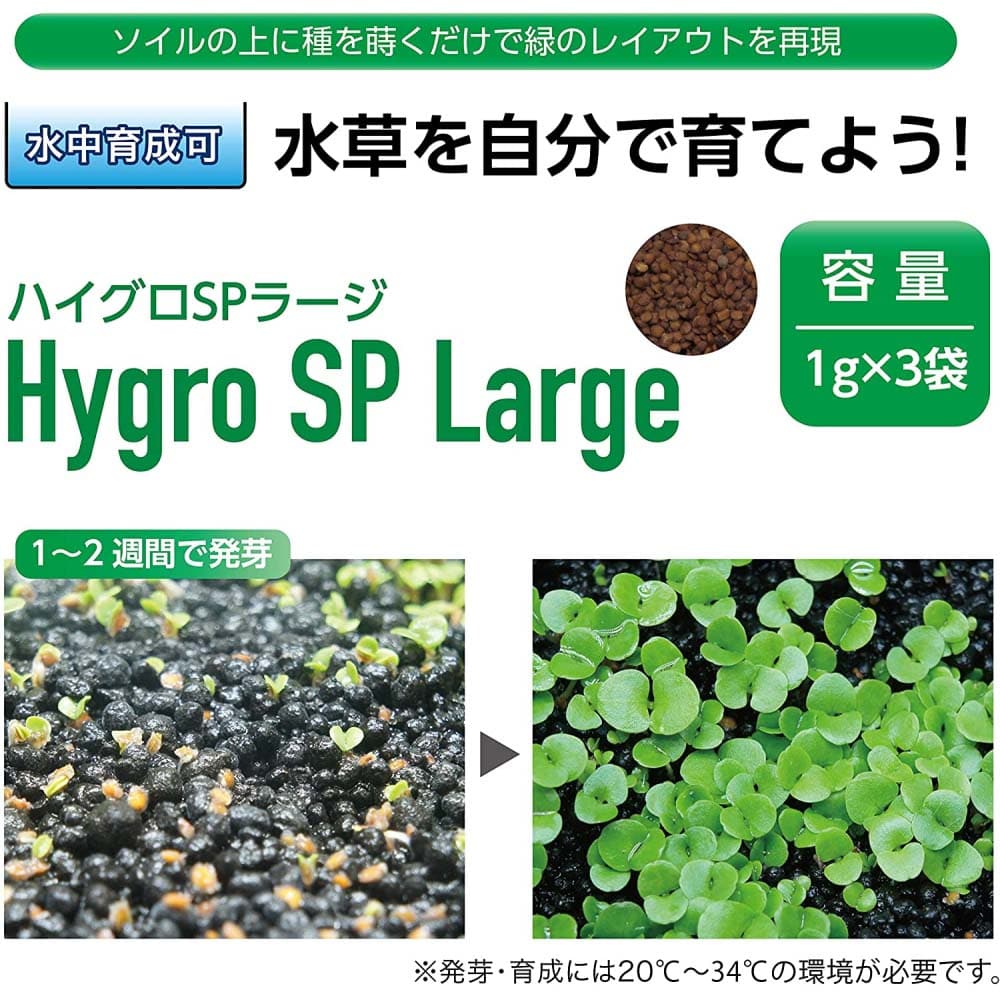 寿工芸 水草の種　プランツシードハイグロＳＰラージ ラージ