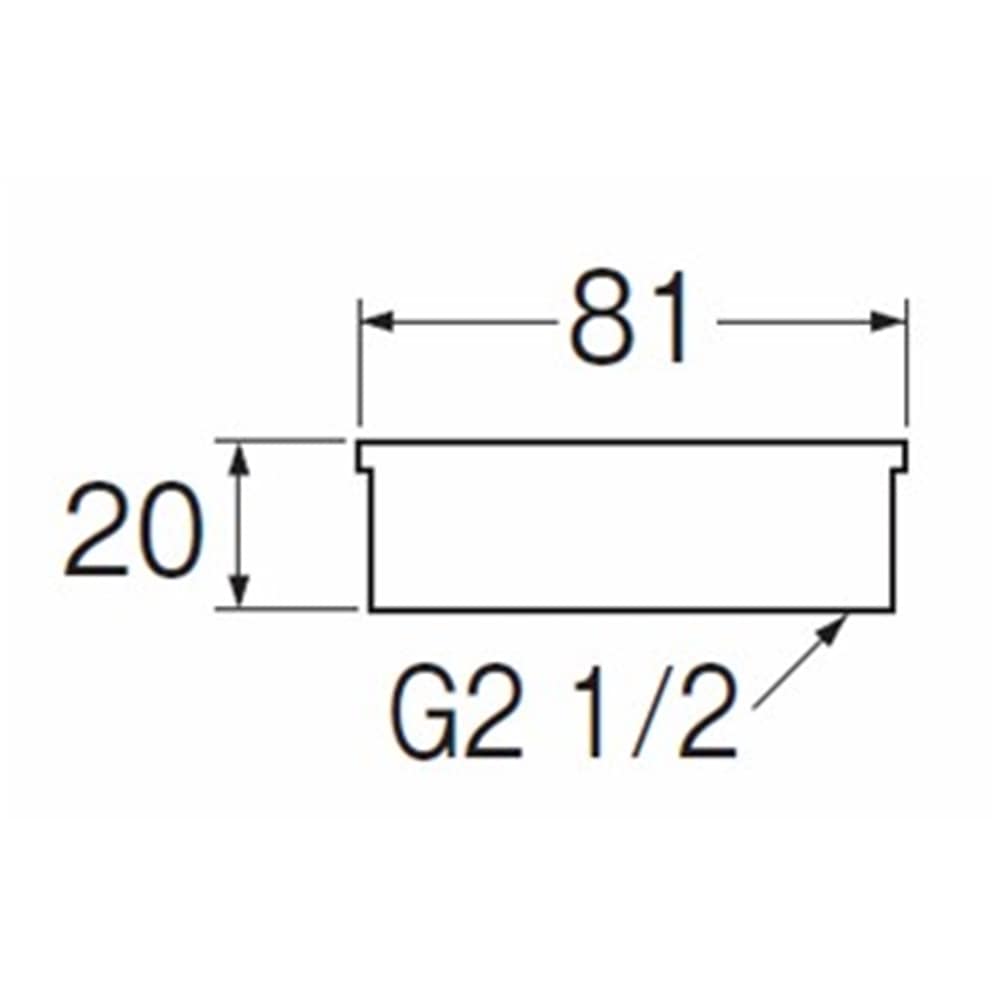 SANEI 内ネジ防虫目皿H45-65 呼び65