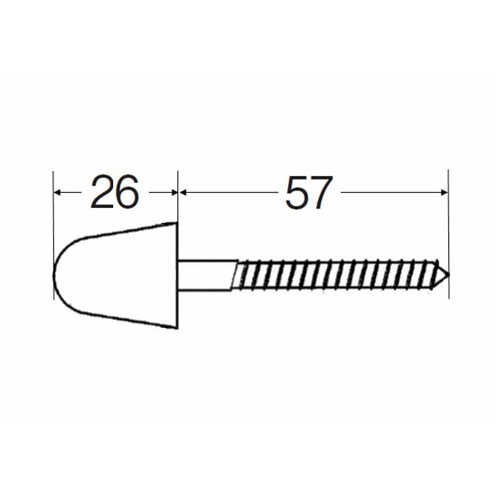 SANEI 大便器床取付ビス（パステルアイボリー）R43-6-6.2X63 PI パステルアイボリー