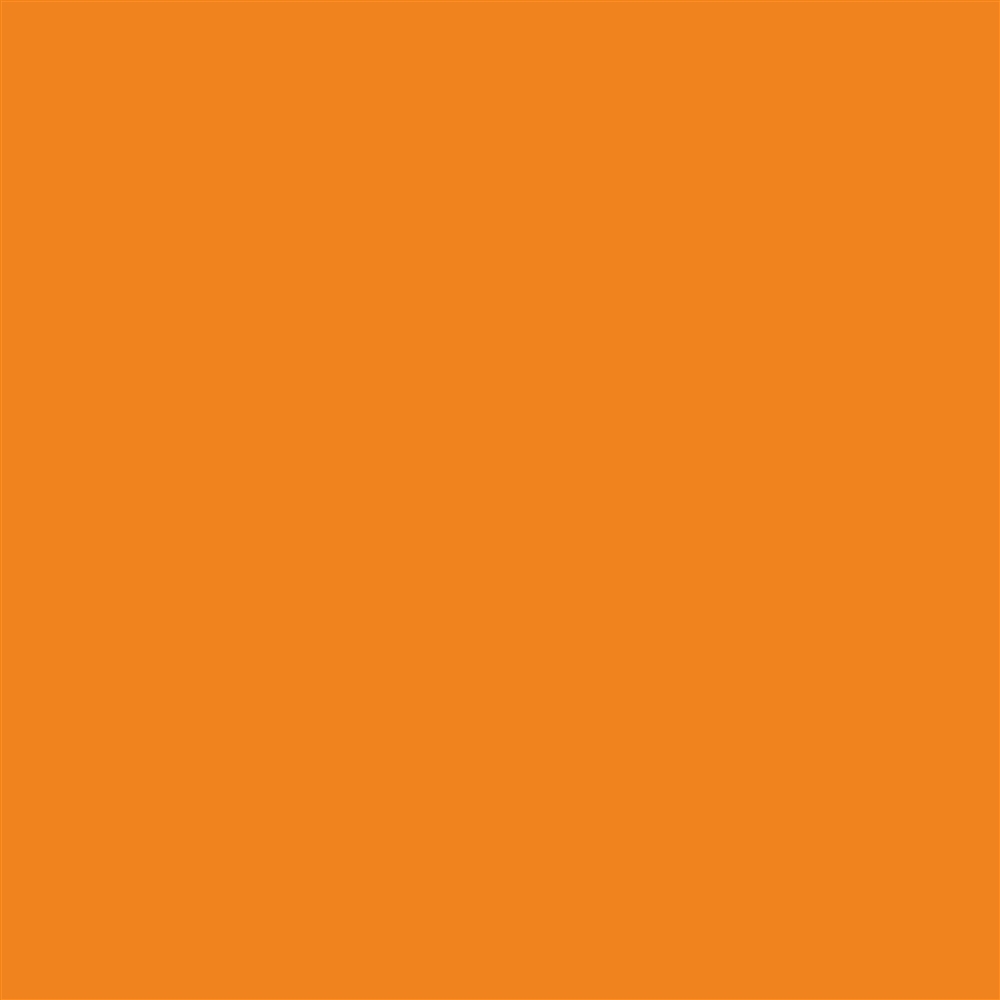 ニッペホームプロダクツ　水性フレッシュワイド　０．７Ｌ　　キャロットオレンジ キャロットオレンジ