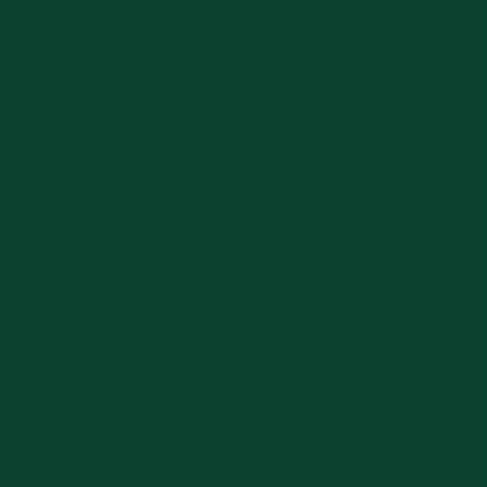 ニッペホームプロダクツ 高耐久シリコントタン屋根用 緑（モスグリーン） 2kg 緑（モスグリーン） 2kg