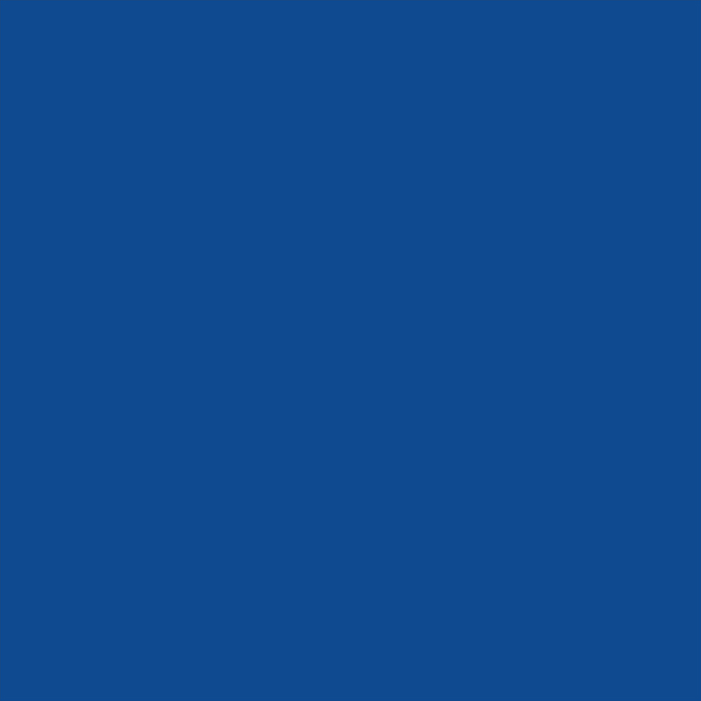 ニッペホームプロダクツ 高耐久シリコントタン屋根用 青（ロイヤルブルー） 14kg 青（ロイヤルブルー） 14kg
