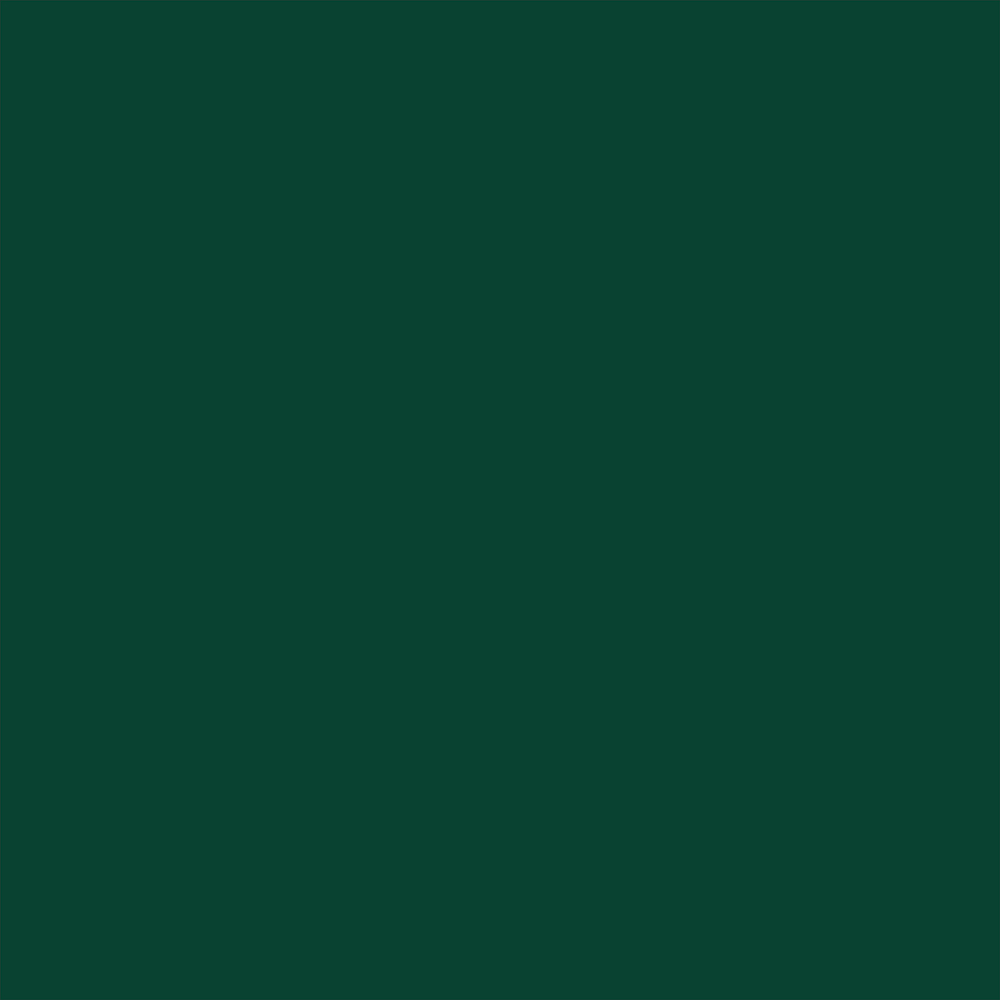 ニッペホームプロダクツ 高耐久シリコントタン屋根用 緑（モスグリーン） 14kg(14kg 緑（モスグリーン）): 塗料・接着剤 |  ホームセンターコーナンの通販サイト