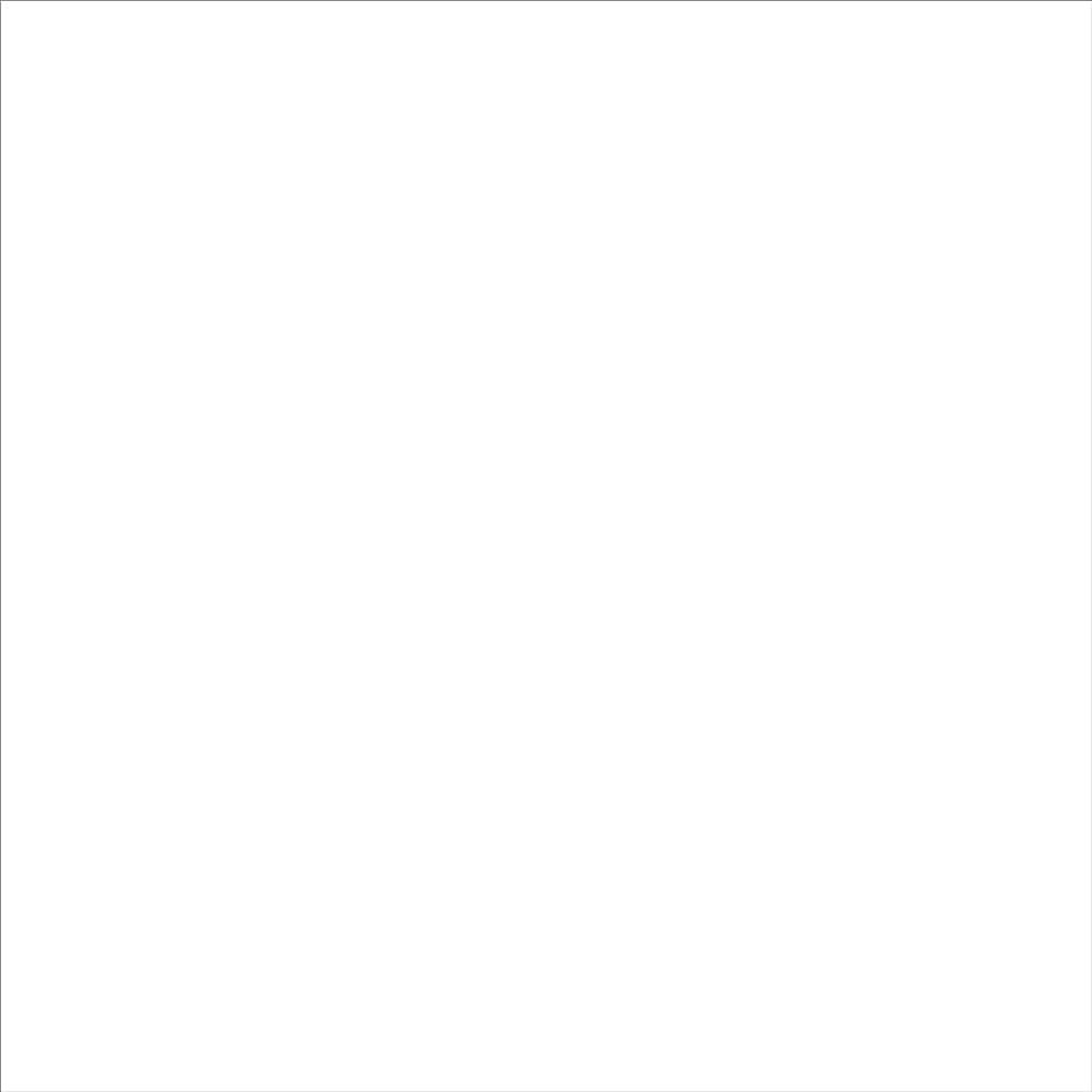 ニッペホームプロダクツ 油性シリコンタフ ホワイト（白） 0.2L ホワイト（白）