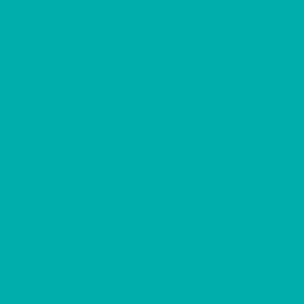 ニッペホームプロダクツ スプレーラッカー エメラルド グリーン 400ml(エメラルド グリーン): 塗料・接着剤 |  ホームセンターコーナンの通販サイト