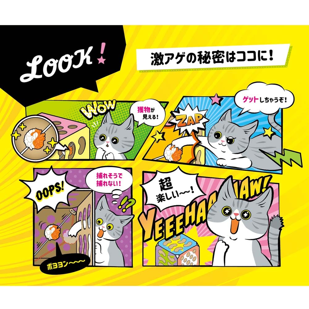 ドギーマンハヤシ　猫ちゃんテンション爆アゲＢＯＸ １個