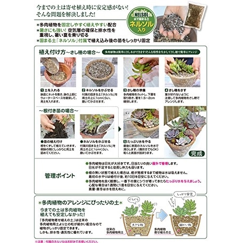 花ごころ 多肉植物寄せ植えの土 ５ｌ 園芸 農業資材 ホームセンターコーナンの通販サイト