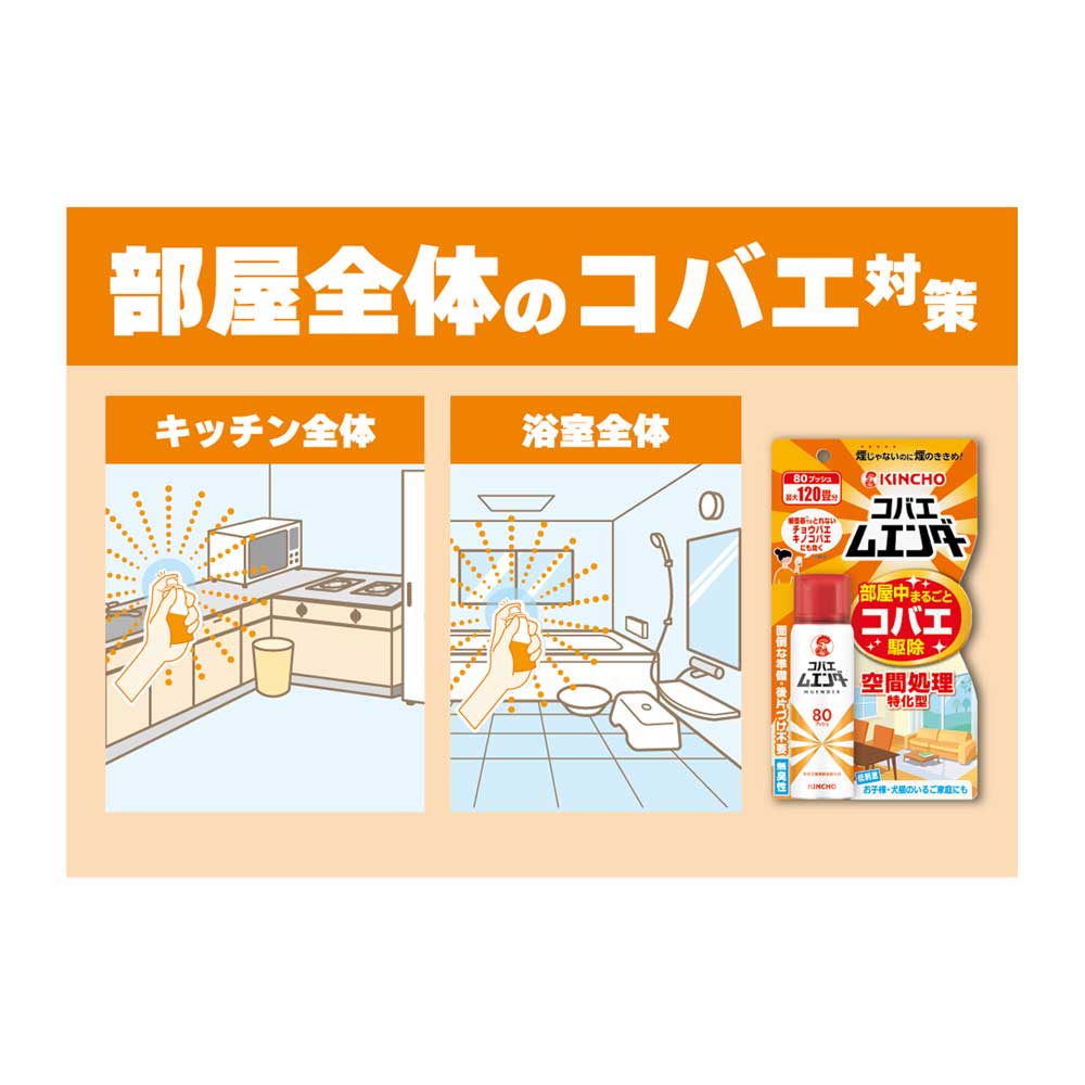 大日本除蟲菊　コバエムエンダー　８０プッシュ