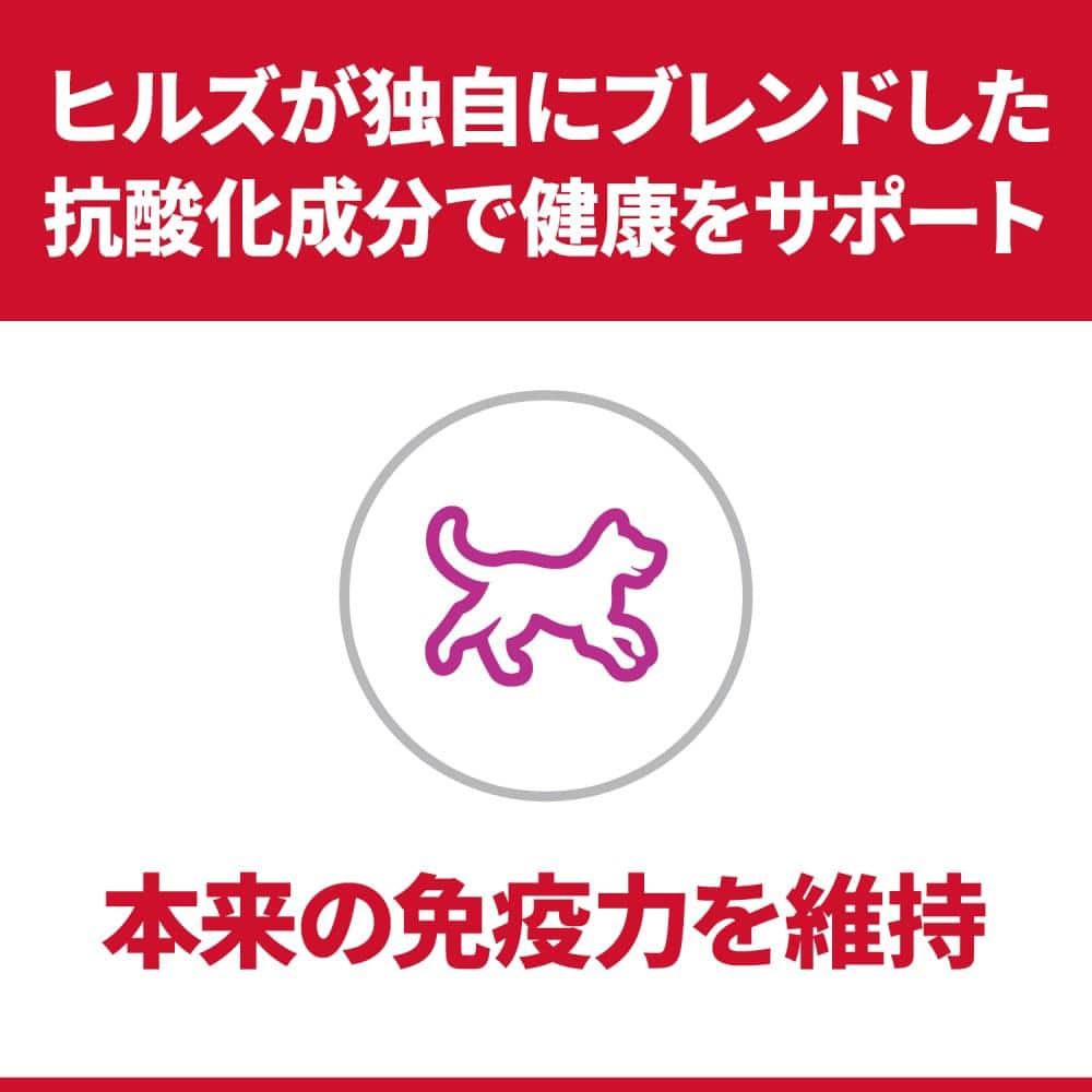 サイエンスダイエット　小型犬ラム＆ライス１．５ｋｇ １．５ｋｇ