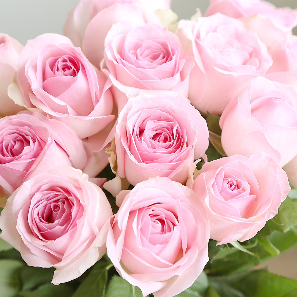 バラ花束 フラワーギフト ピンク色 本束 かわいい系ラッピング 高さ40cm前後 本束かわいい系 園芸 農業資材 ホームセンターコーナンの通販サイト