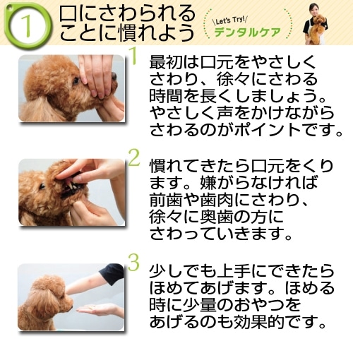 初めての歯みがきセット　歯みがきペースト２１ｇ＆フィンガー歯ブラシ１枚
