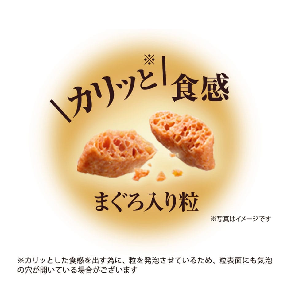 ユニ・チャーム　銀のスプーン　三ツ星グルメ　腎臓の健康維持用20歳を過ぎてもすこやかにお魚レシピ240g 腎臓の健康維持用20歳を過ぎてもすこやかにお魚レシピ240g