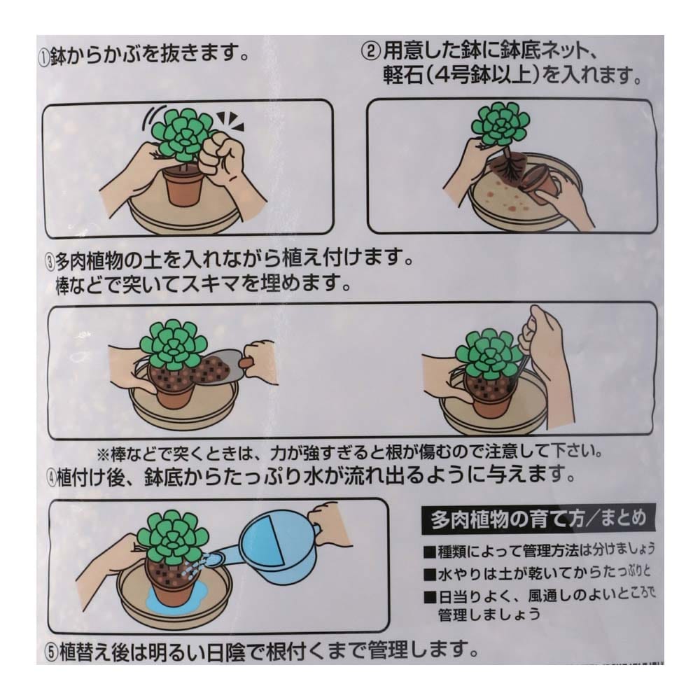 マルチ パネルヒーター 両生類 爬虫類 昆虫 植物 室内栽培 ネコ 犬 7W