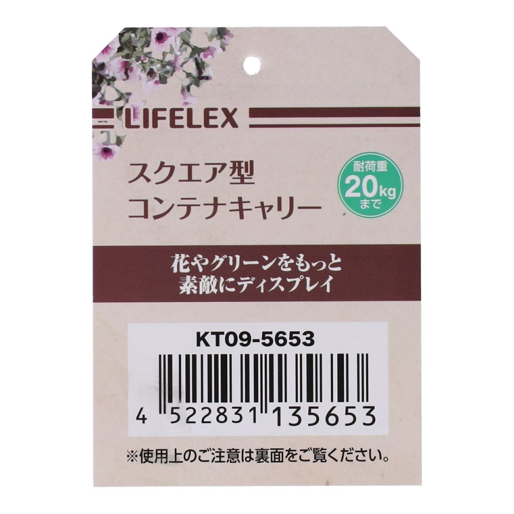 LIFELEX スクエア型コンテナキャリー　ブラック　KT09-5653