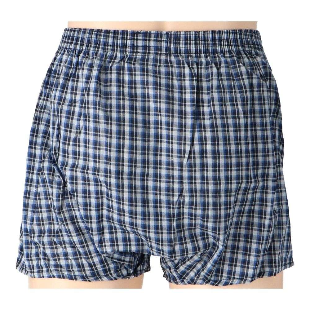 LIFELEX　トランクス　２Ｐ　ホワイト・ブルー系チェック　Ｌ ホワイト・ブルー系チェック　Ｌ