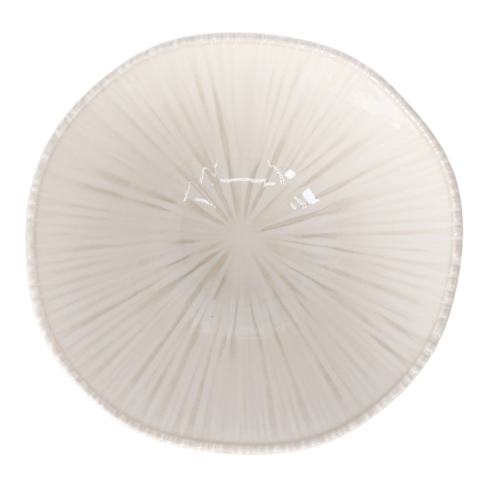 LIFELEX　小鉢　１２ｃｍ／ＷＨＩＴＥ ＷＨＩＴＥ