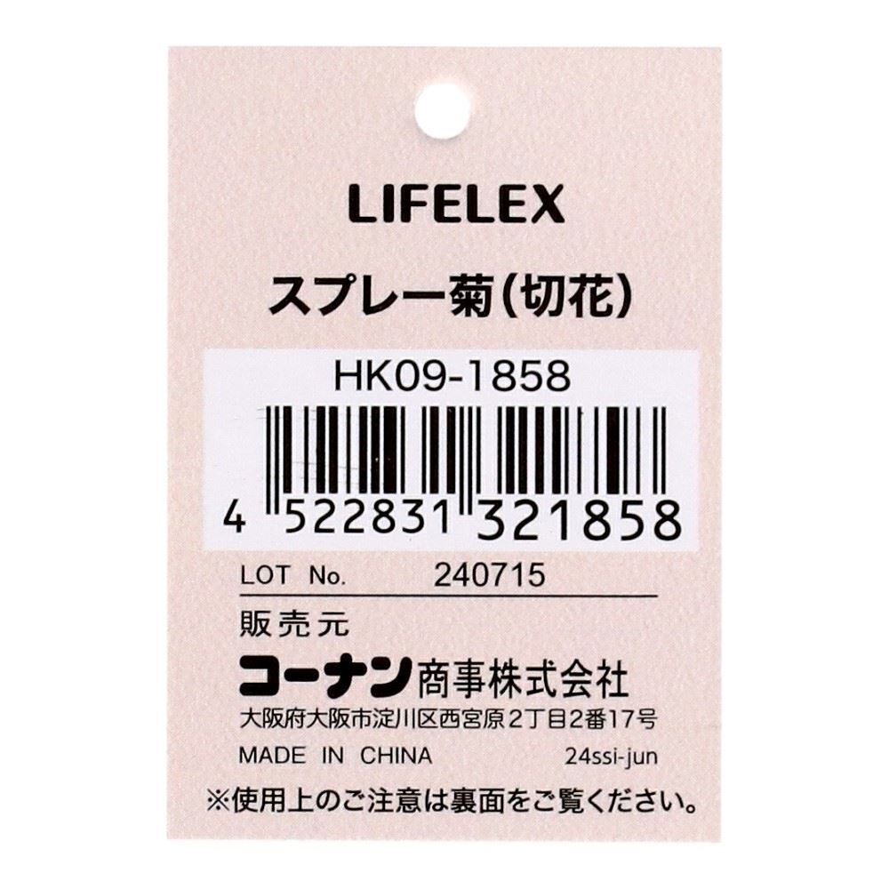 LIFELEX　スプレー菊（切花）　ＨＫ０９－１８５８