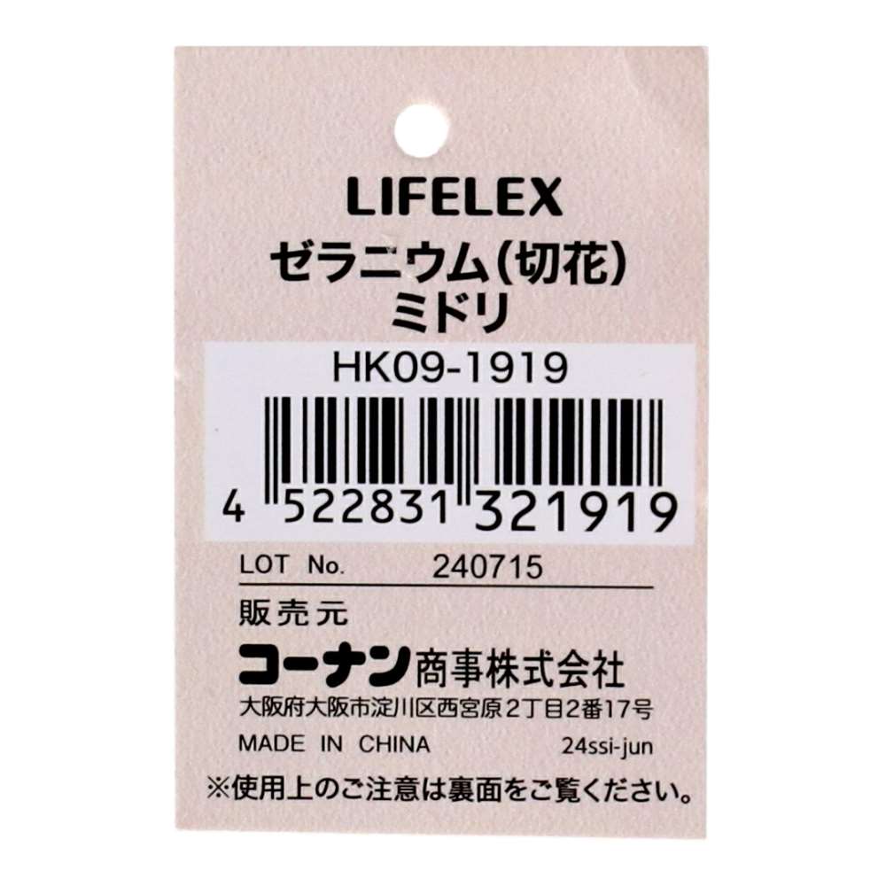 LIFELEX ゼラニウム（切花）ミドリ HK09-1919 ミドリ