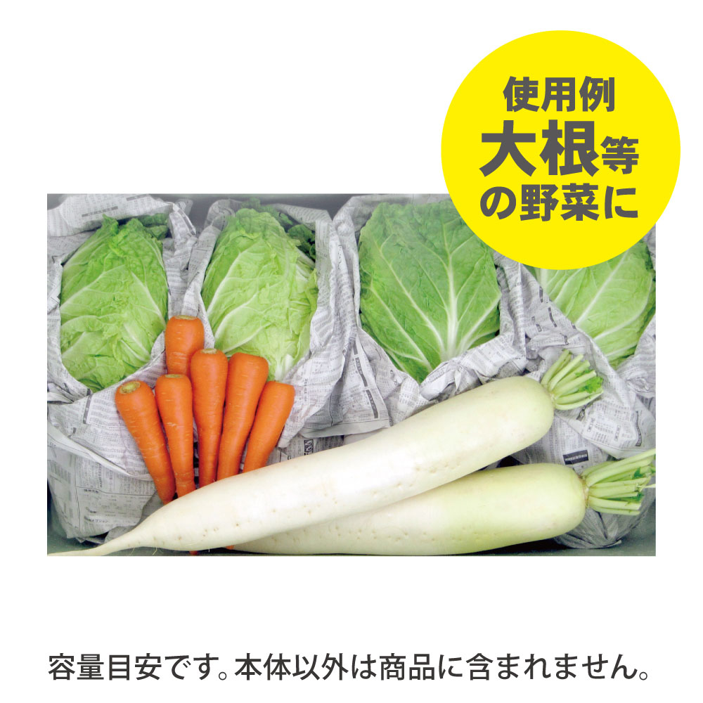 野菜保存箱