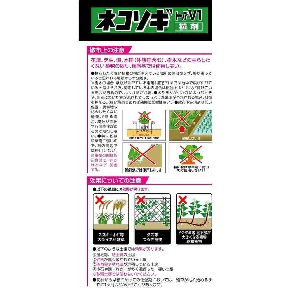 LIFELEX　レインボー薬品　ネコソギトップ　Ｖ１　粒剤　３ｋｇ　７５～６００平方ｍ（約２３～１８０坪）用　×６個セット 6個セット