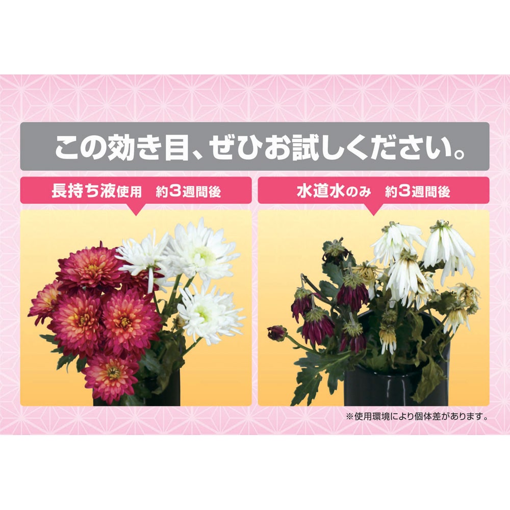 コーナン オリジナル Lifelex 切花長持ち液 ５００ｍｌ 園芸 農業資材 ホームセンターコーナンの通販サイト