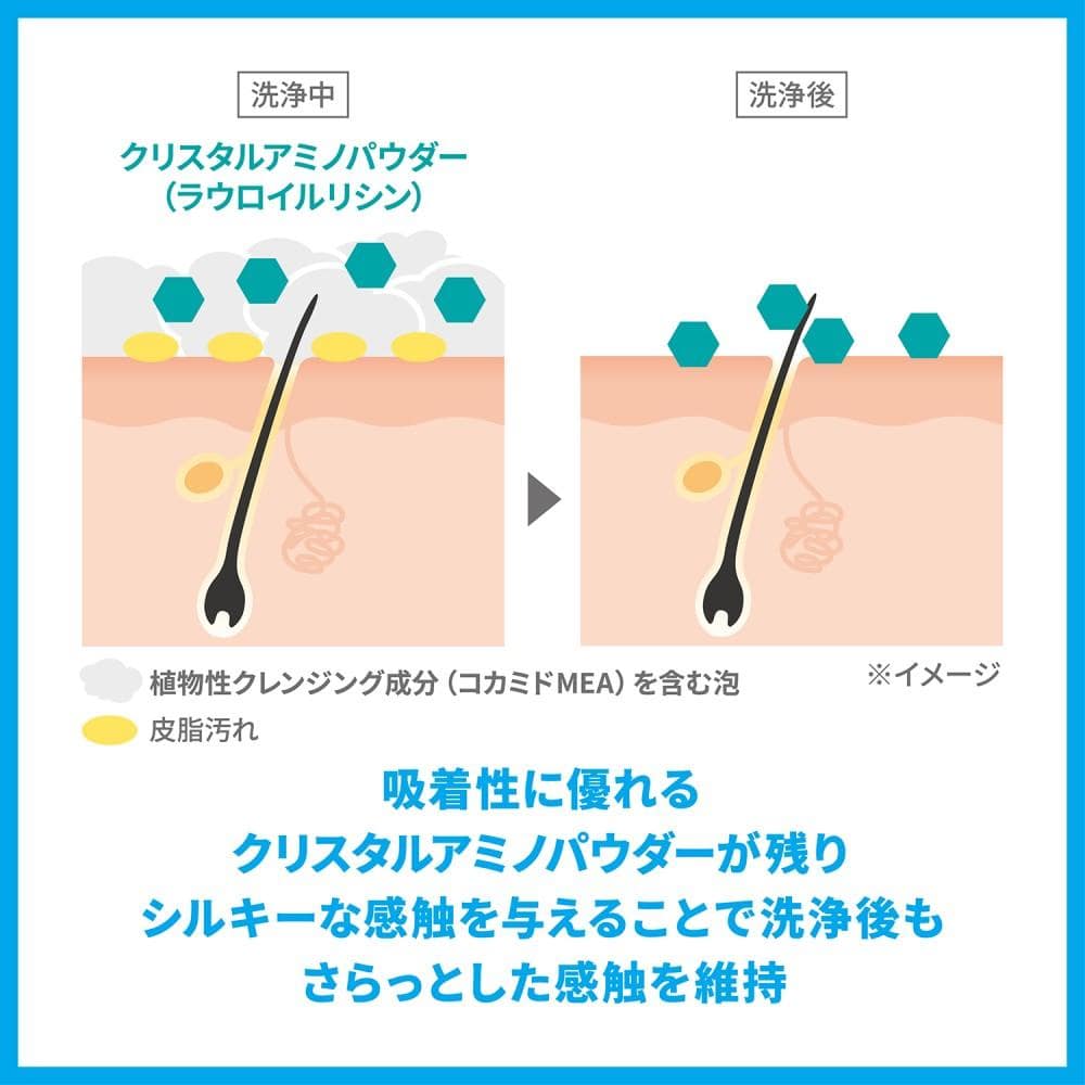 シーブリーズ　リンスインシャンプー　ｆ　つめかえ　１０００ｍｌ つめかえ　１０００ｍｌ