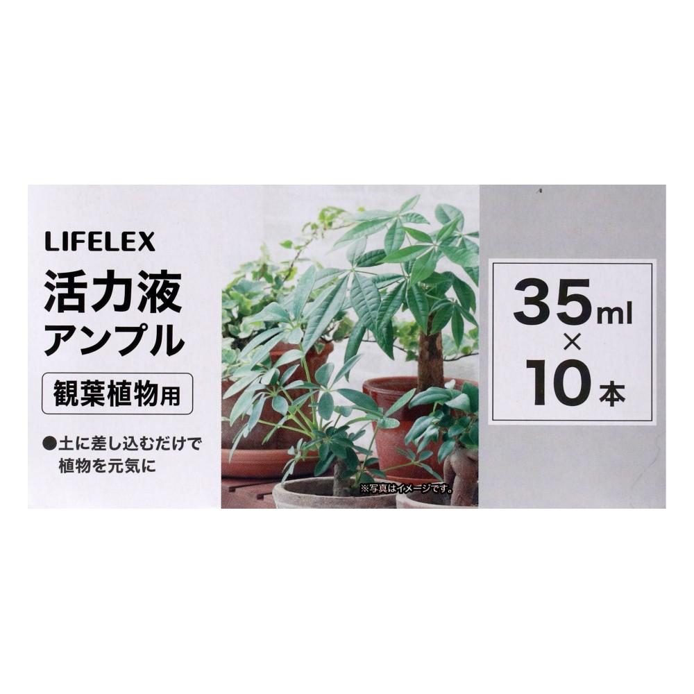 LIFELEX　アンプル観葉植物用１０Ｐ　ＫＫ０９－９５８４