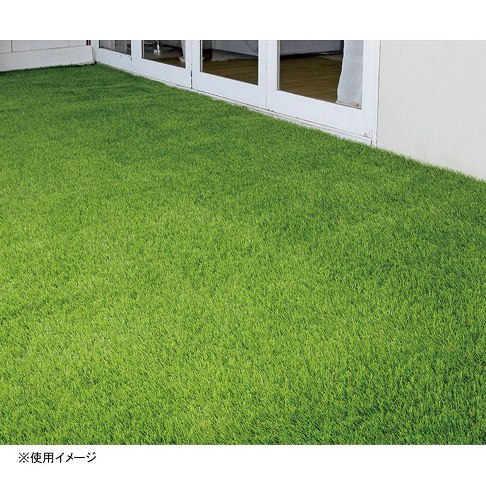 LIFELEX　グリーンライトターフ　１×２ｍ　ＨＫ０９－０７７８ １×２ｍ
