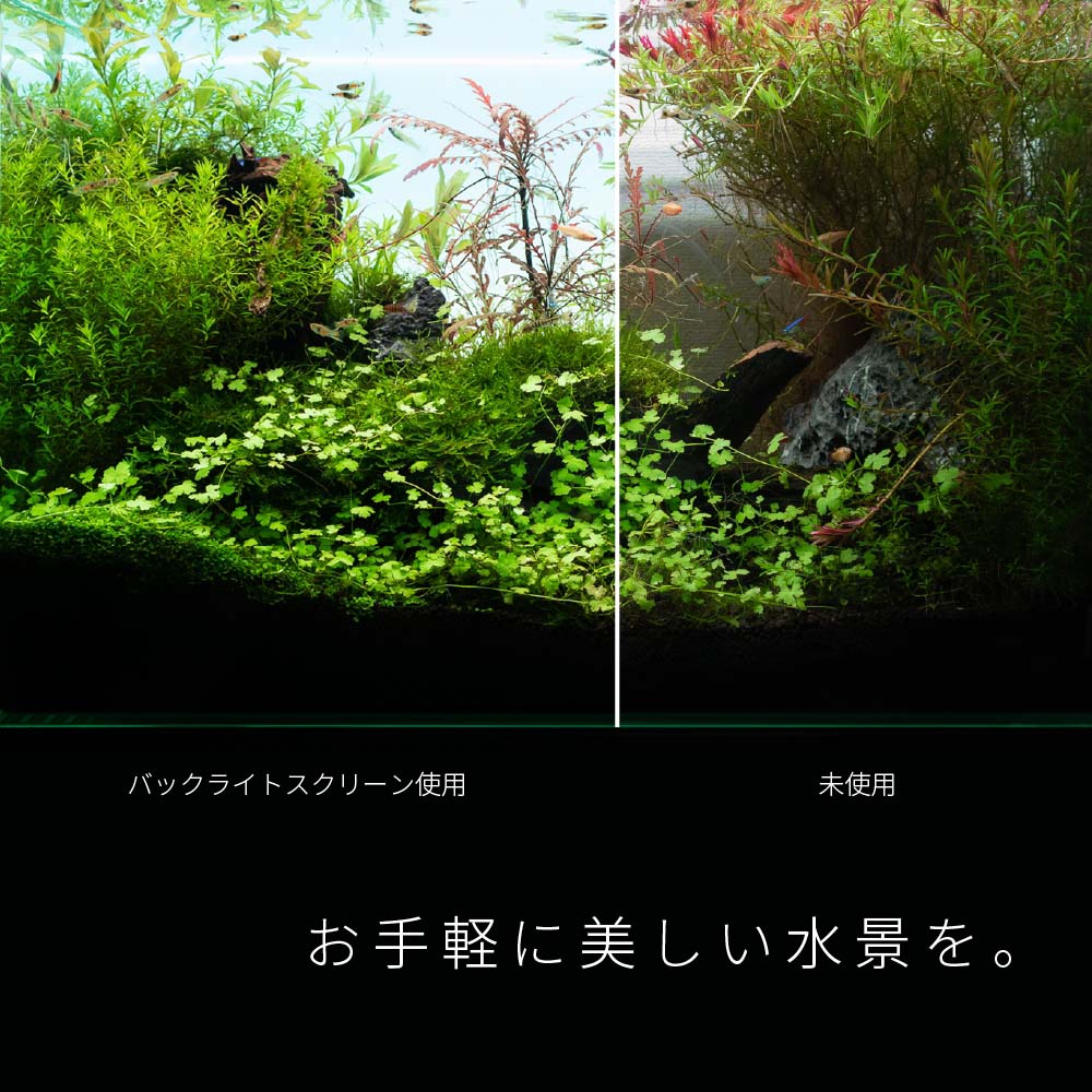 esAqua 幅30cm水槽用 調光式 LEDバックスクリーンライト ...