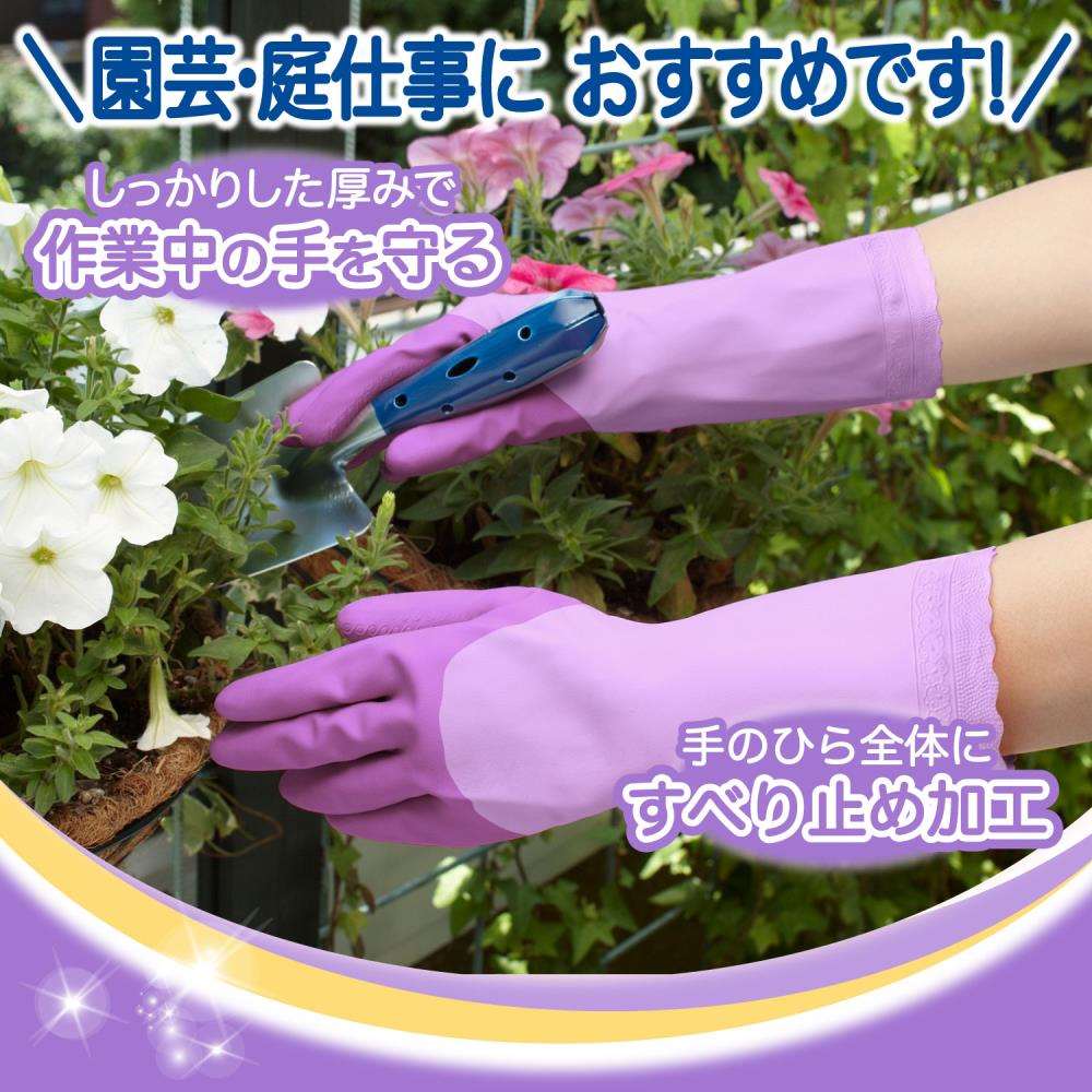 エステー　ファミリー　ビニール　厚手　Ｍ　パープル Ｍ