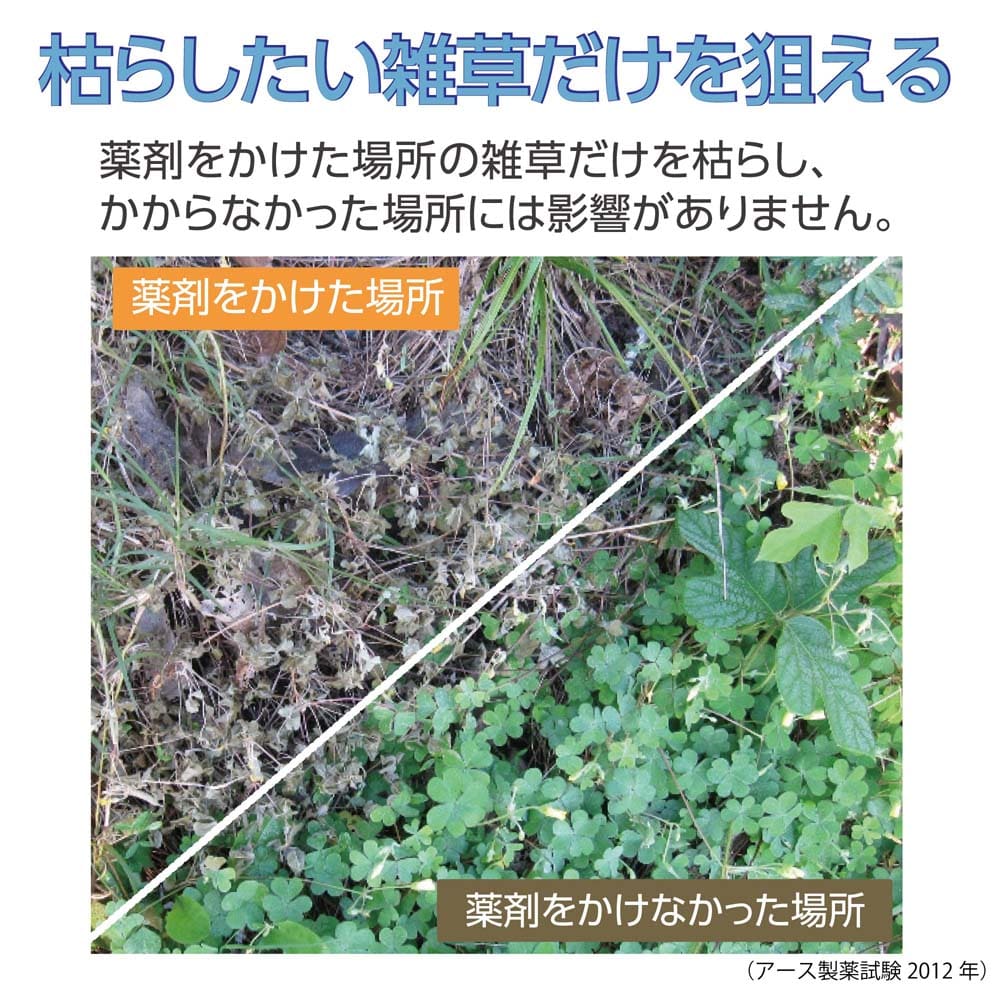 アース製薬 (アースガーデン)  おうちの草コロリ つめかえ 1.7Ｌ ふんわりローズの香り 詰替