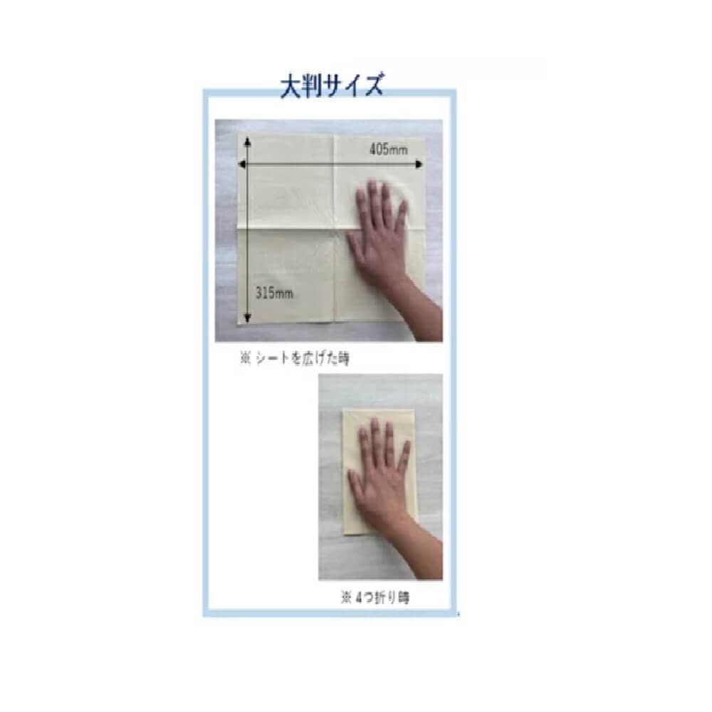 エリエール プロワイプ 山専用クロス NO.21001087