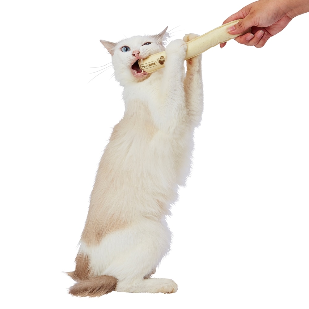ペティオ 猫用おもちゃガリガリ君 けりぐるみ ガリガリ君 けりぐるみ ペット ホームセンターコーナンの通販サイト