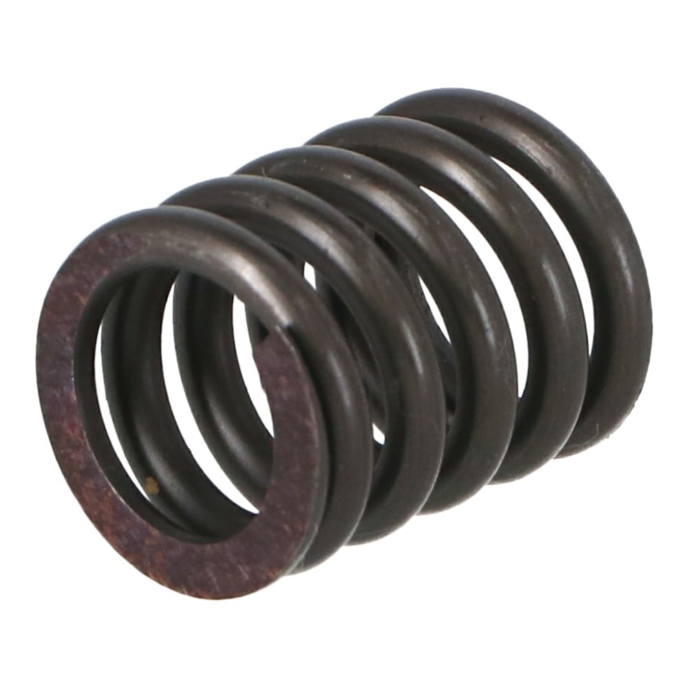 SHK ( 新生発条工業 )  精密圧縮コイルバネ C210-01 C210-01