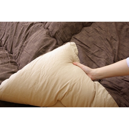 イケヒコ・コーポレーション(IKEHIKO) 　インド綿　こたつ厚掛け布団単品　『クレタ』　ブラウン　２０５×２８５ｃｍ ブラウン