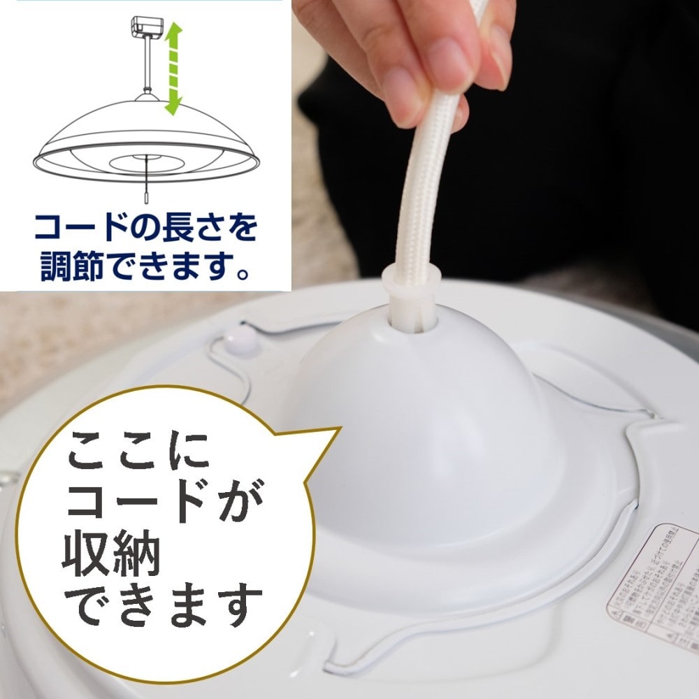 瀧住電機工業　ＬＥＤペンダントライト　ＥＶ８００５６