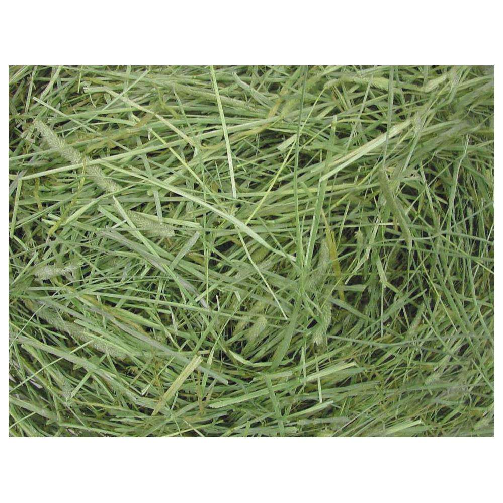 ＧＥＸ　健康チモシーお徳用１．８ｋｇ