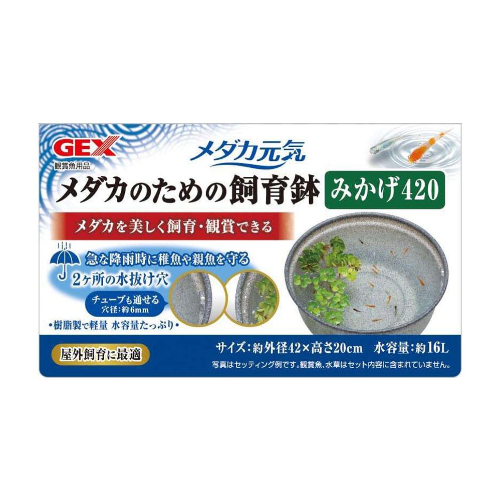ＧＥＸ　メダカ元気　メダカのための飼育鉢　みかげ４２０
